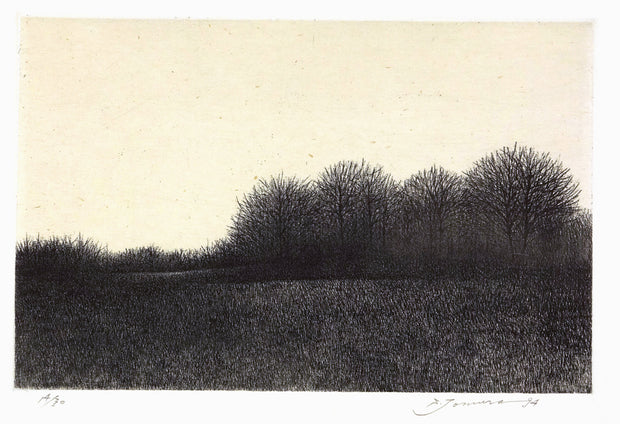 Morioka, in Winter III by Shigeki Tomura - Davidson Galleries