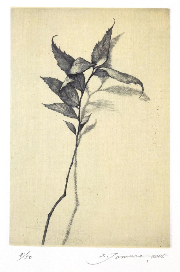Field Note IV by Shigeki Tomura - Davidson Galleries