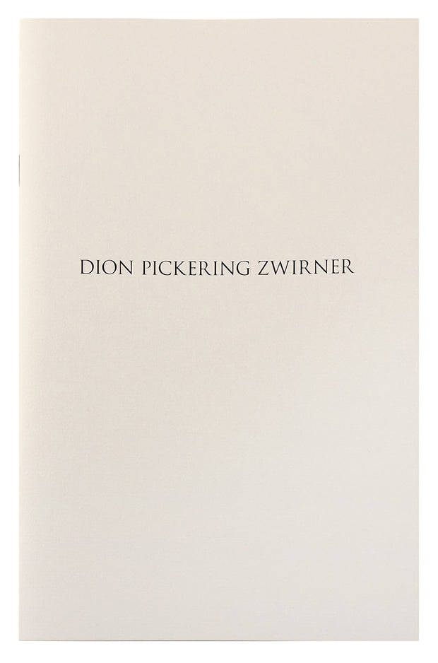 Dion Pickering Zwirner: The Edge of Seeing by Davidson Galleries - Davidson Galleries